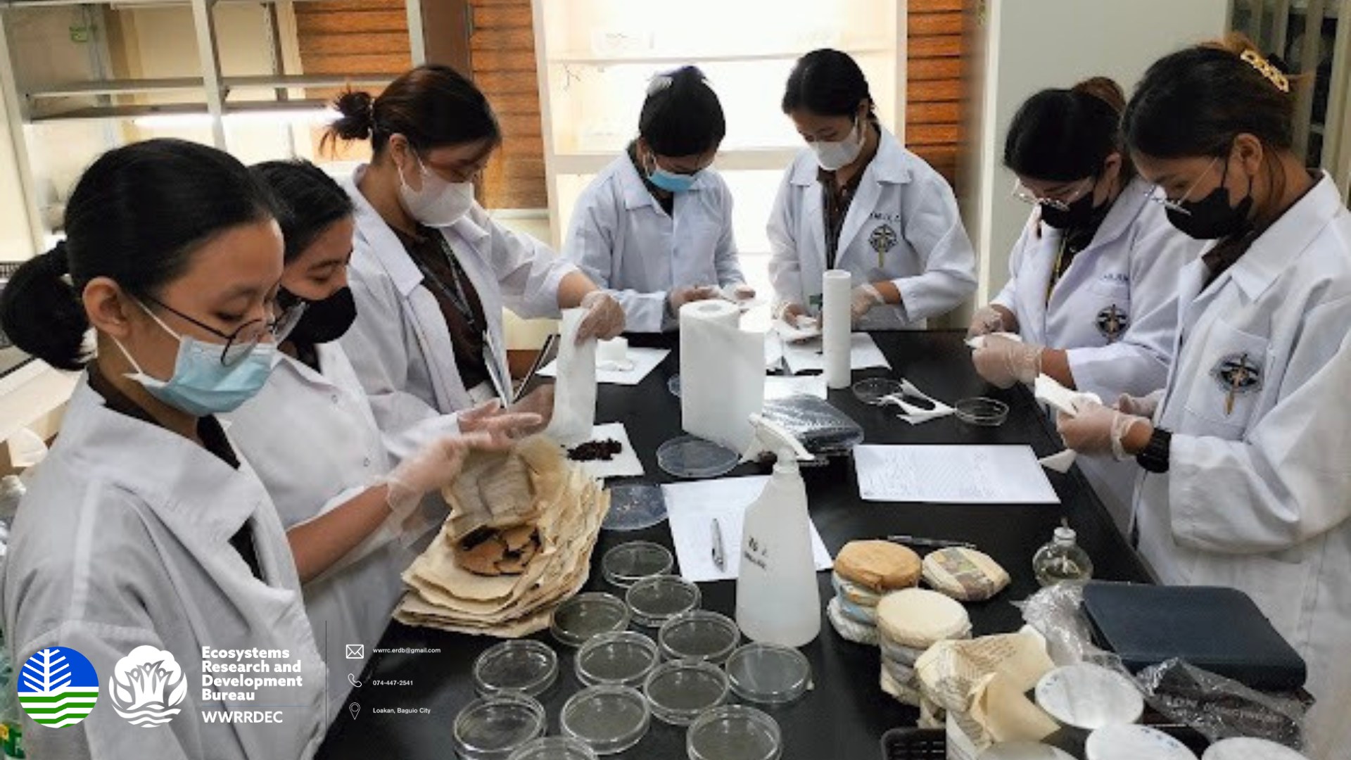 SLU Biology Students Complete WWRRDEC Internship Program Saint Louis